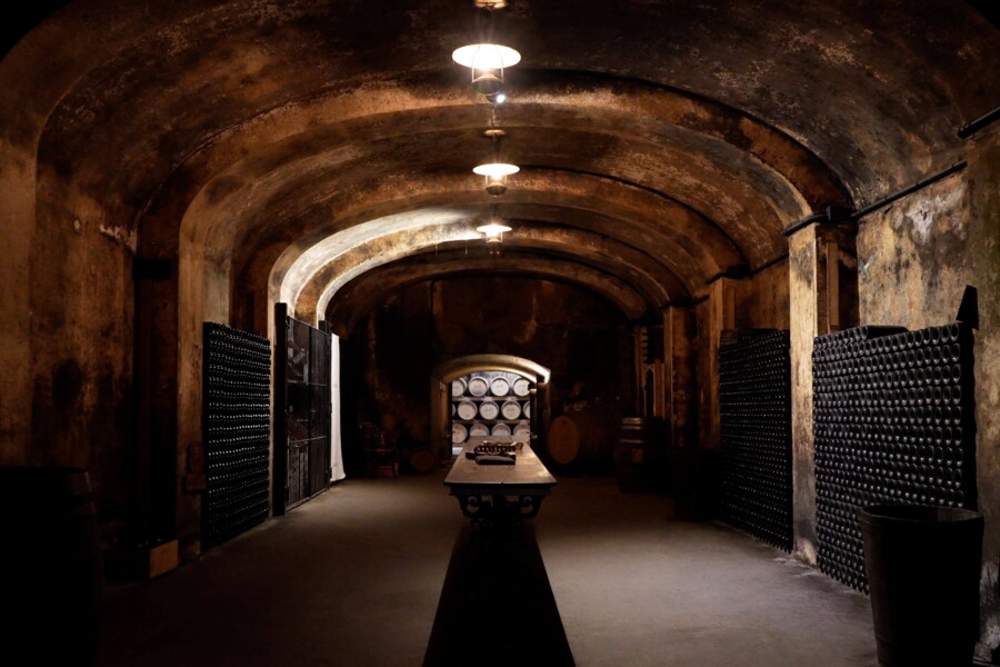 Weinverkostung movex Mallorca